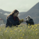 Noomi Rapace picks yellow flowers in a field with a young child that has a lamb head.